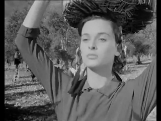 non c pace tra gli ulivi (1950) there is no peace under the olives  dir. giuseppe de santis