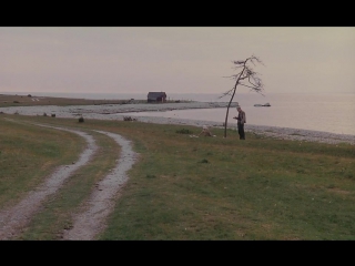 offret (1986) sacrifice  dir. andrei tarkovsky